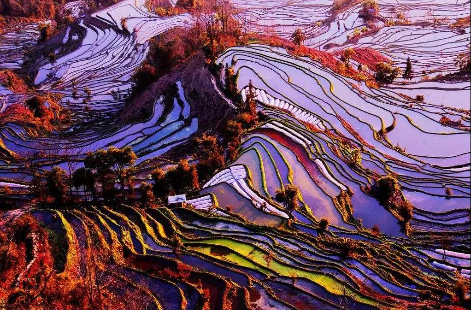 五一首發：云上紅河，開啟夢想之旅！
