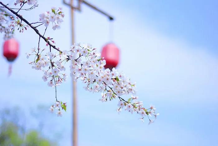 旅游景區如何良性循環應對市場變化？