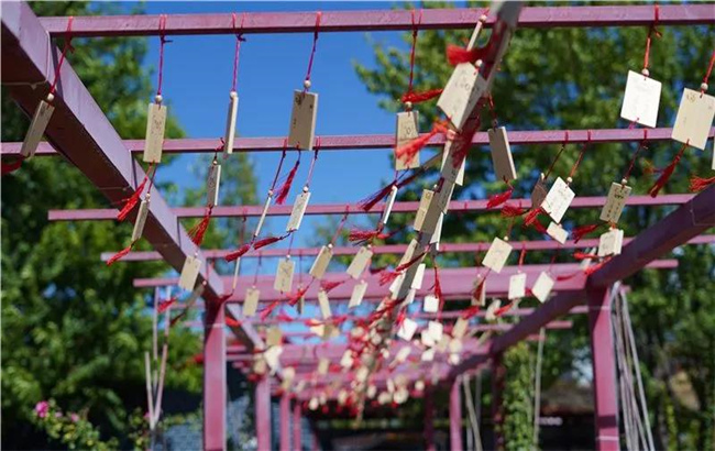 賞花親水、荷塘野趣……楚雄東華濕地公園許你一個繽紛夏日