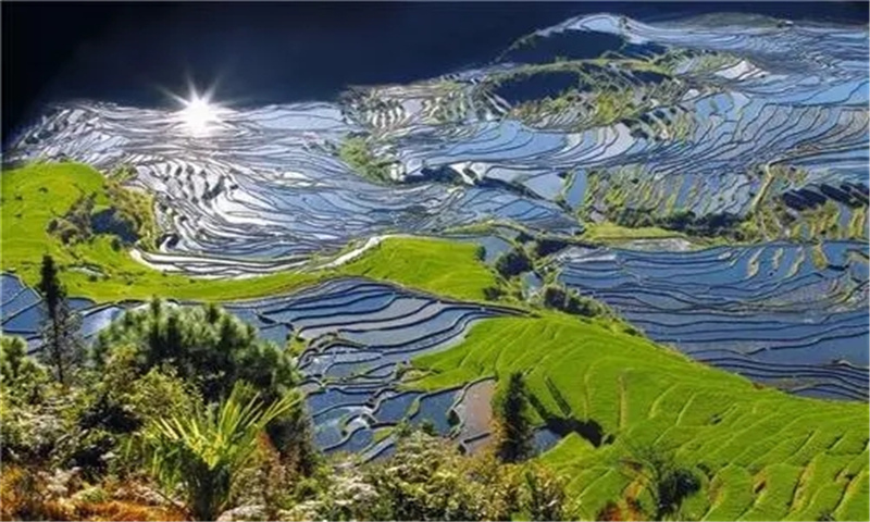 云南紅河旅游—云南十大特色旅游新地標：撒瑪壩萬畝梯田景區