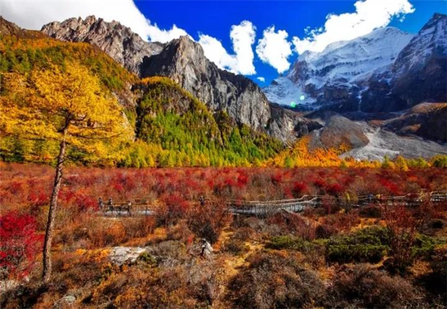 云南旅游攻略稻城亞丁的秋天， 美到炸裂了?。?！