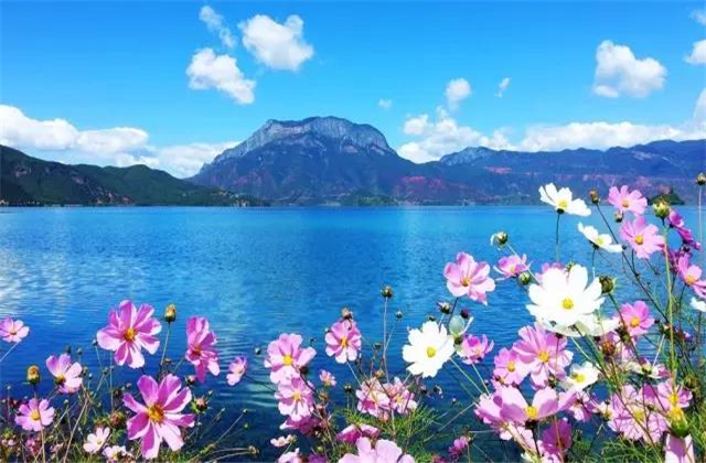 云南旅拍地推薦：七月的瀘沽湖，竟然可以美成這樣！