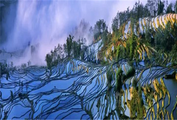 云南傳媒公司：元陽梯田最佳觀賞期到啦！哈尼族1300年歷史結晶，究竟有多美？