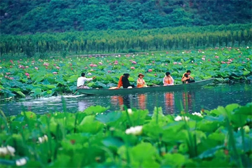 2022普者黑夏令營：山水田園，萬畝荷花游學，探訪彝族古村，感知民族文化！