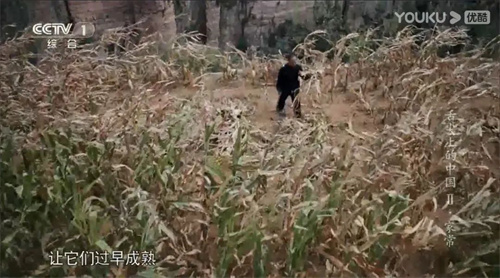 趣說人文歷史｜康乾盛世，“番薯盛世”？