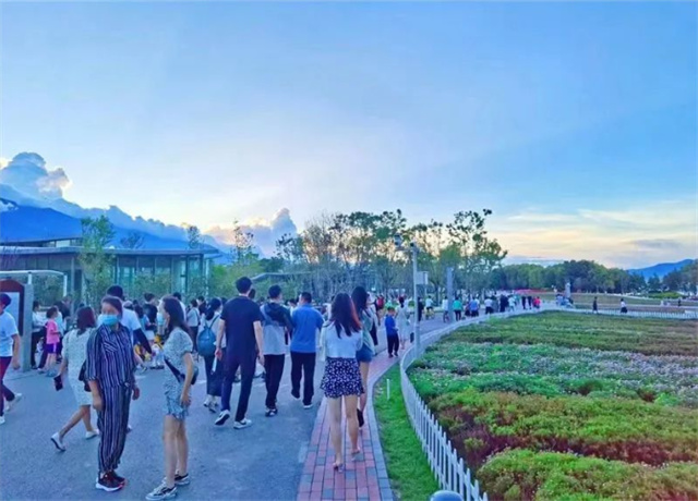 【游大理 正當時】游客出行意愿指數位列全國第六！詩與遠方的大理，就差一個你