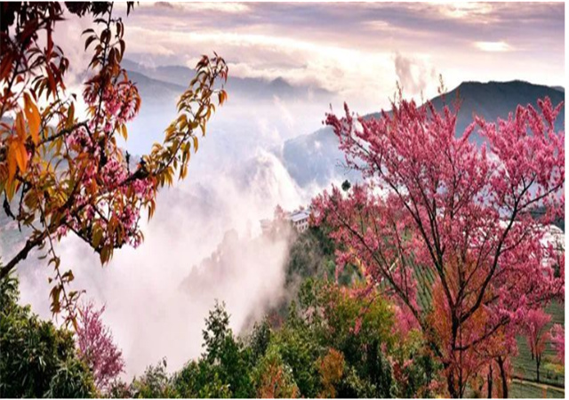 【聚焦旅交會 相約游大理】來南澗，在彝鄉體驗自然之謎與民族之美