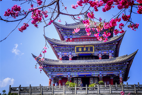 疫情過后，給自己來一場放縱的旅行...麗江的夏天愿你更美！