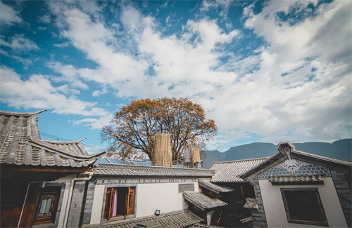 春節云南特輯 | 人少景美！春節云南旅游線路推薦三