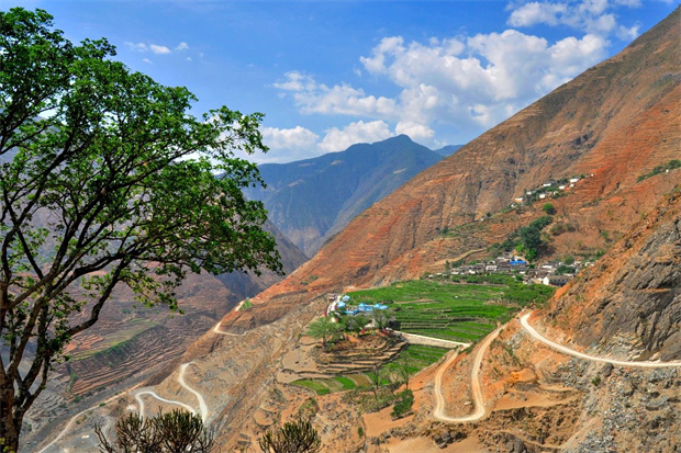 云南旅游,云南旅行社,云南團建公司,云南會議公司,大理旅游,大理旅行社,大理團建公司,大理會議公司：云南第一棵咖啡樹，在哪？